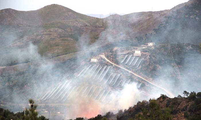 BODRUM'DA ORMAN YANGINI