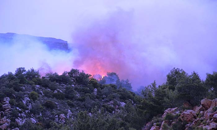 BODRUM'DA ORMAN YANGINI