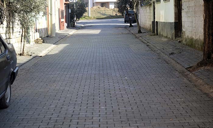 DSC0375