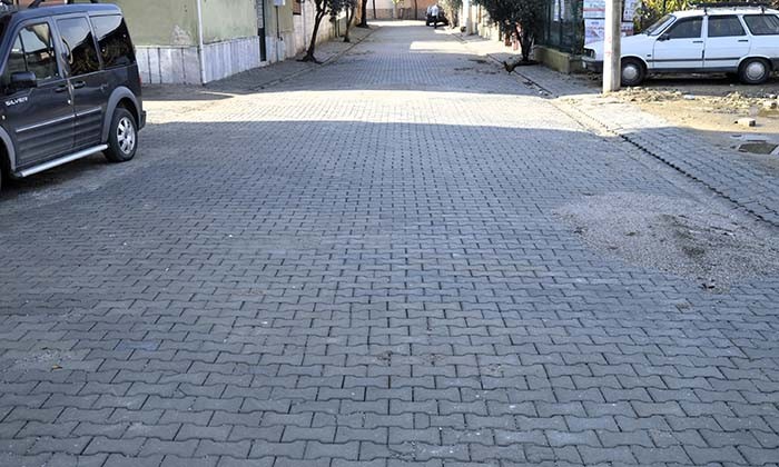 DSC0385