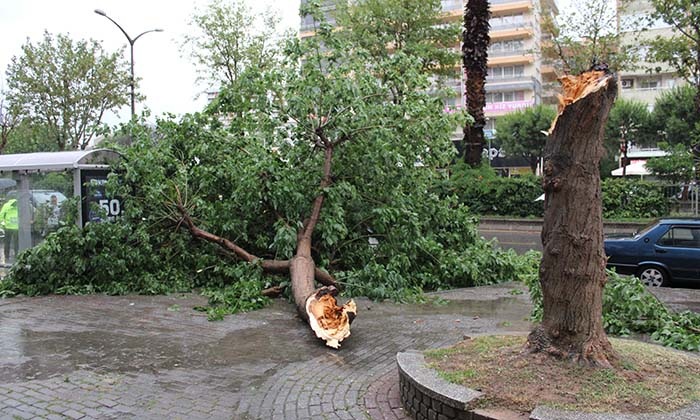 SAĞANAK YAĞIŞ YOLLARI GÖLE ÇEVİRDİ, AĞAÇLARI DEVİRDİ