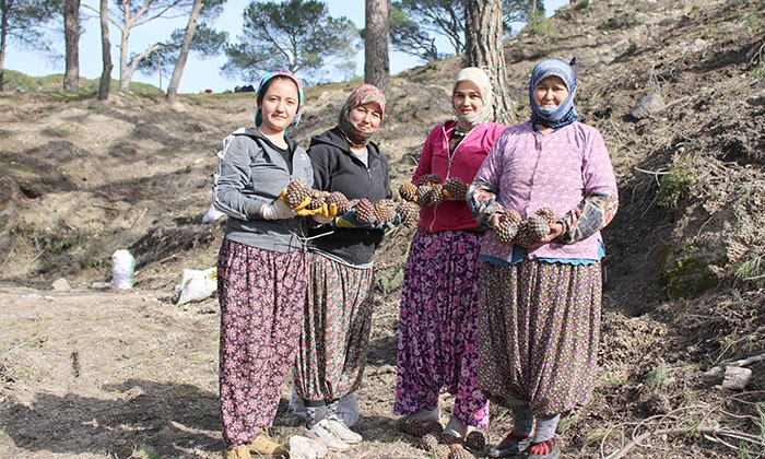 KOMANDO EĞİTİMİ İÇİN DEĞİL, EKMEK PARASI İÇİN TIRMANIYORLAR
