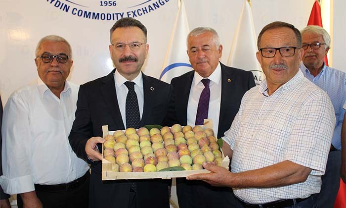 AYDIN'DA SEZONUN İLK KURU İNCİRİ 350 LİRADAN SATILDI