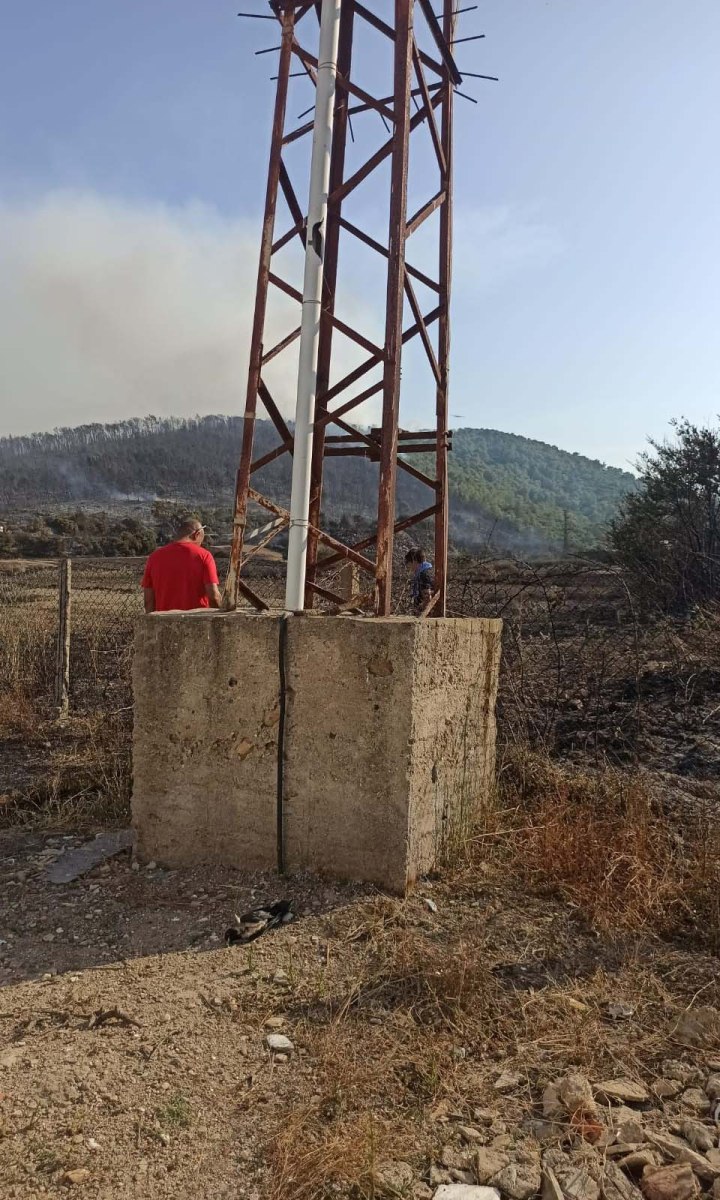 ENERJİ NAKİL HATTINA KONAN KARGALAR ORMANI YAKTI MİLAS'TAKİ ORMAN YANGININA HAVADAN VE KARADAN MÜDAHALE DEVAM EDİYOR