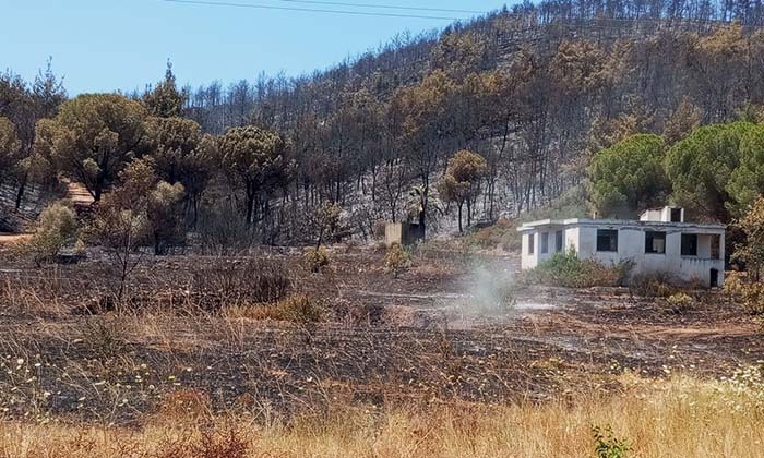 KUŞADASI'NDAKİ ORMAN YANGININDA ANTİK SU KEMERİ ZARAR GÖRDÜ