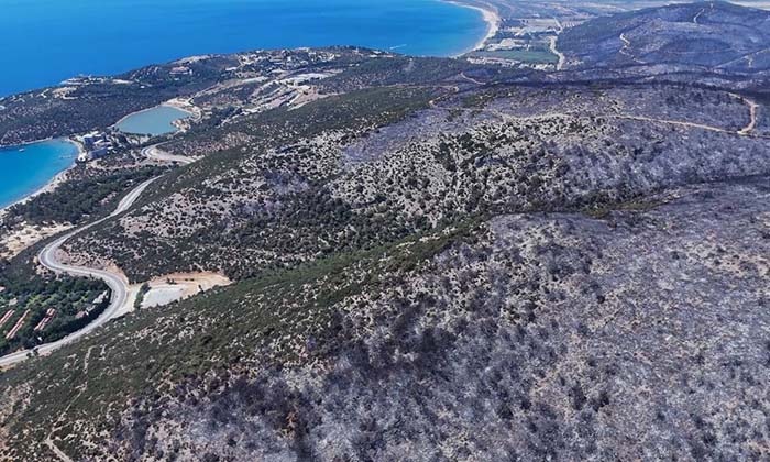 KUŞADASI'NDAKİ ORMAN YANGININDA ANTİK SU KEMERİ ZARAR GÖRDÜ