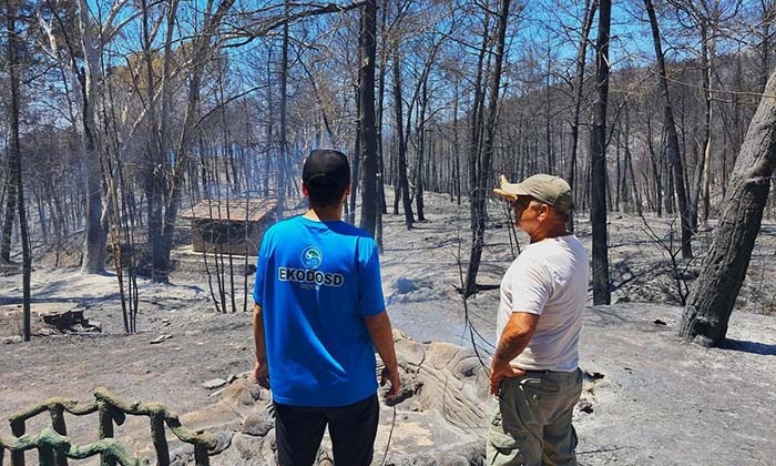 KUŞADASI'NDAKİ ORMAN YANGININDA ANTİK SU KEMERİ ZARAR GÖRDÜ