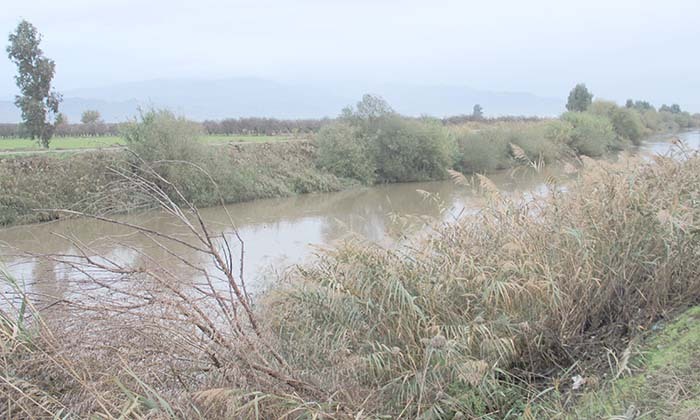 MENDERES YENİDEN BEREKET TAŞIMAYA BAŞLADI