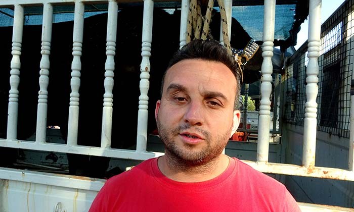 MENTEŞE'DE BOĞALAR KIRAN KIRANA MÜCADELE ETTİ
