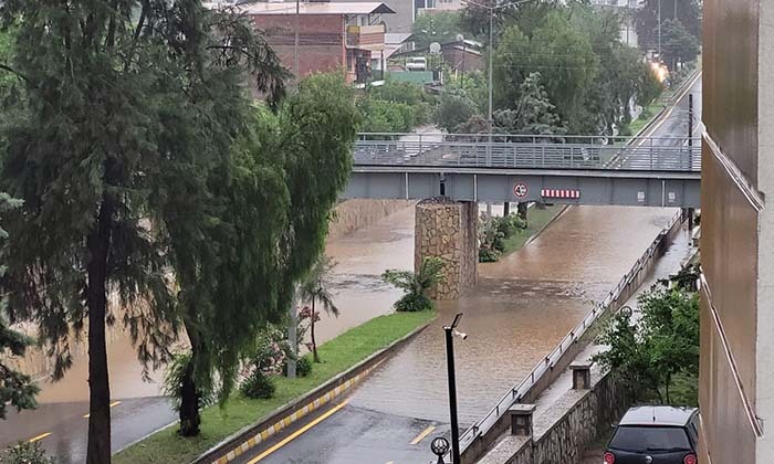AYDIN'IN İKİ İLÇESİNDE SAĞANAK YAĞIŞ ETKİLİ OLDU