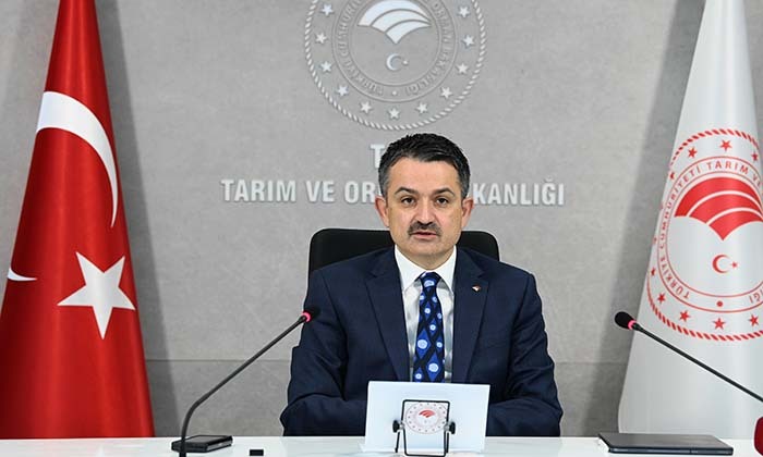 2021 YILI ZEYTİN VE ZEYTİNYAĞI REKOLTE TAHMİN ÇALIŞMALARI TAMAMLANDI
