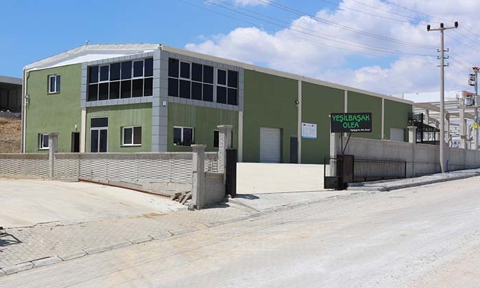 YESIL-BASAK-10