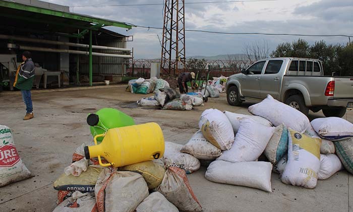 AYDIN'DA ZEYTİNİN YAĞA DÖNÜŞÜM YOLCULUĞU BAŞLADI ZEYTİN SEZONU İLE BİRLİKTE YAĞHANELERDE DE YOĞUNLUK BAŞLADI