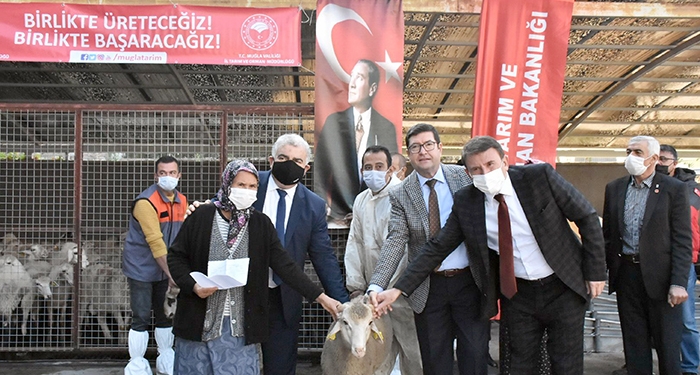 YANGINLARDA ZARAR GÖREN ÇİFTÇİLERE KOYUN DESTEĞİ MUĞLA İL TARIM VE ORMAN MÜDÜRLÜĞÜ TARAFINDAN YANGINDA ZARAR GÖREN ÜRETİCİLERE KOYUN DAĞITIM TÖRENİNE PERSONEL GENEL MÜDÜRÜ ADEM DİNÇ DE KATILDI.