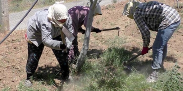 GENÇLER TARIMDAN UZAKLAŞTI, ÇİFTÇİ YAŞI YÜKSELDİ