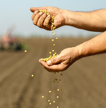 ORGANİK SEKTÖRÜNDEN "OKULLARDA ORGANİK DERSİ KONULSUN" ÇAĞRISI