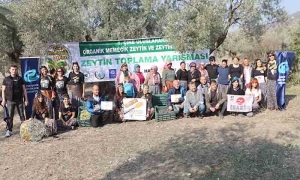 ÇİNE'DE 'ZEYTİN VE ZEYTİNYAĞI FESTİVALİ' COŞKUYLA  BAŞLADI