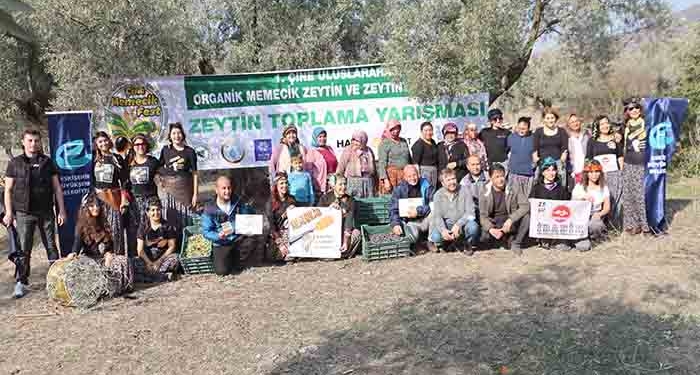 ÇİNE'DE 'ZEYTİN VE ZEYTİNYAĞI FESTİVALİ' COŞKUYLA  BAŞLADI