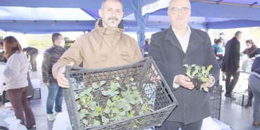 AYDIN BÜYÜKŞEHİR BELEDİYESİ 100 BİN ADET KIŞLIK YEREL FİDEYİ VATANDAŞLARA DAĞITTI