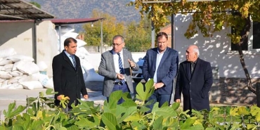 AYDIN'DA İNCİR FİDANI DAĞITILDI