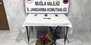 YOL KONTROLÜNDE UYUŞTURUCU MADDE ELE GEÇİRİLDİ YATAĞAN İLÇE GİRİŞİNDEKİ KONTROL NOKTASINDA JANDARMA EKİPLERİ TARAFINDAN YAPILAN KONTROLLERDE UYUŞTURUCU MADDE ELE GEÇİRİLDİ.