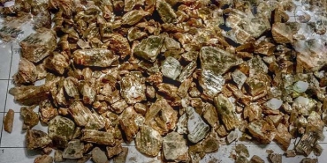 MİLAS'TA 835 GRAM DEĞERLİ TAŞ OLARAK KABUL EDİLEN DİASPOR ELE GEÇİRİLDİ