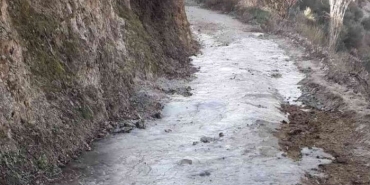 Aydında Soğuklar Ve Buzlanma Zeyti̇n Üreti̇ci̇leri̇ni̇ Etki̇ledi̇