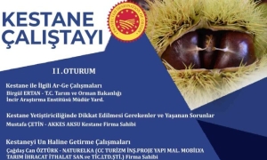 Aydında Kestane Çalıştayı İçi̇n Geri̇ Sayım Başladı