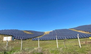 AYDIN'DA GÜNEŞ ENERJİSİ SEKTÖRÜ HAREKETLENDİ