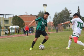MADRANSPOR (1)