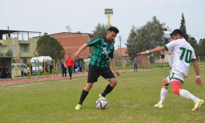 MADRANSPOR (1)