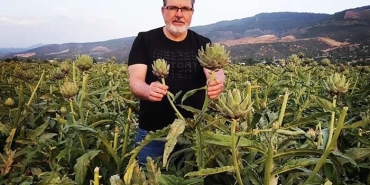 "ENGİNAR; SOFRADA KARACİĞERİN DOSTU, LABORATUVARDA KANSERİN DÜŞMANI ÇIKTI"
