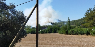 SEYDİKEMER'DE ORMAN YANGINI ÇIKTI