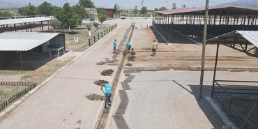 HAYVAN PAZARI BAYRAMA HAZIRLANIYOR