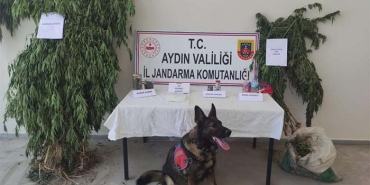 AYDIN'DA 1 HAFTADA 7 UYUŞTURUCU TACİRİ TUTUKLANDI