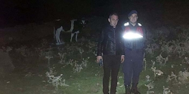 KAYIP HAYVANLARI JANDARMA EKİPLERİ BULARAK SAHİBİNE TESLİM ETTİ