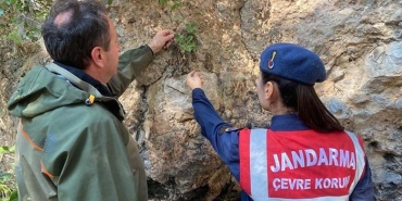 JANDARMADAN "ENDEMİK TÜR" DEVRİYESİ