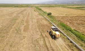 EFELER BELEDİYESİ'NDEN BUĞDAY HASADI
