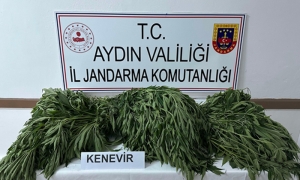 Başlıksız-1