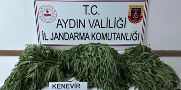 Başlıksız-1