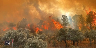 MİLAS'TA ORMAN YANGINI BAŞLADI
