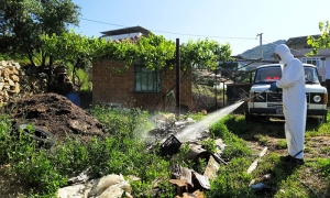 IMG-20230706-WA0067