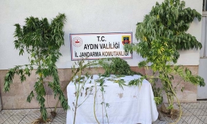 AYDIN'DA JANDARMA EKİPLERİ UYUŞTURUCUYA GEÇİT VERMİYOR