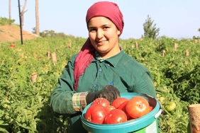 OLUMSUZ İKLİM ŞARTLARINA RAĞMEN KİRAZ VE DOMATES İHRACATINDA REKOR 8 AYDA SADECE KİRAZ VE DOMATESTE 565  MİLYON LİRALIK İHRACAT YAPILDI