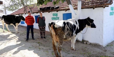 AYDIN VE MUĞLA'YA 30 MİLYON TL ORKÖY DESTEĞİ