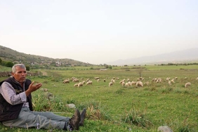 ÖMRÜNÜ ÇOK SEVDİĞİ KOYUNLARINA ADADI