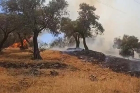 ÇİNE'DEKİ YANGIN KONTROL ALTINA ALINDI