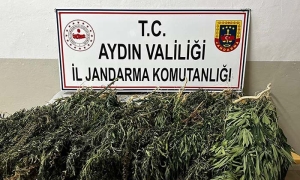 KENEVİR BİTKİSİ EKEN 2 ŞÜPHELİ YAKALANDI
