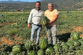 ÇİNE KARPUZU (2)