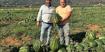 ÇİNE KARPUZU (2)